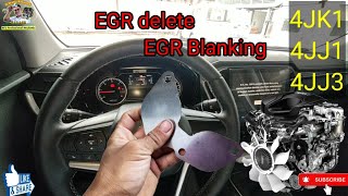 Is it okay to put EGR blanking plate for EURO 4 engine [upl. by Haikezeh522]