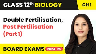 Double Fertilisation Post Fertilisation Part 1  Class 12 Biology Chapter 1  CBSE 202425 [upl. by Ynitsed]