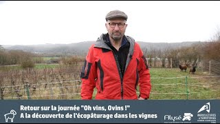 Retour sur la Journée Portes Ouvertes Ovins amp Viticulteurs Yonne [upl. by Odrareve]