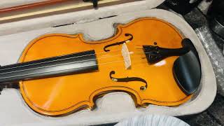 DEBEIJIN Adults Kids Violin Premium Violin for Kids Beginners Review Beginner violin with kit [upl. by Ariew]