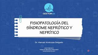 FISIOPATOLOGIA SINDROME NEFROTICO Y NEFRITICO  fisiopatología [upl. by Aicened]