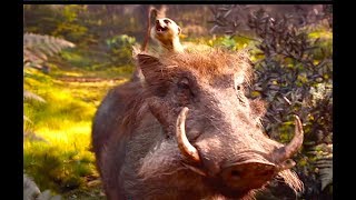 First Look at Scar Timon and Pumbaa  The Lion King Movie  Disney Family Movie HD [upl. by Tanny]