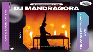 DJ Mandragora Live  New Symphony featuring Henrique Camacho  Garorock Festival 2023 [upl. by Einaffyt]