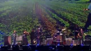 John Mellencamp  Check it Out Live at Farm Aid 2014 [upl. by Grimona]