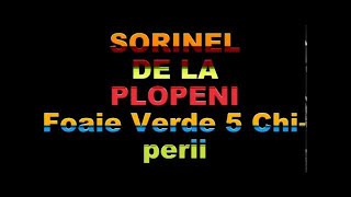 SORINEL DE LA PLOPENI FOAIE VERDE 5 CHIPERII [upl. by Costa]