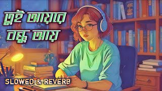 আয়রে বন্ধু আয় লাইলা  Ayre Bondhu Ay Laila  Bangla Gaan  Creator Shahin 2  Slowed Reverb  Lofi [upl. by Casar]