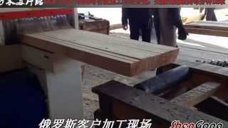 IIn RussiaNew MJF143C1535 multi blade wood saw machine for square timber [upl. by Aihsat246]