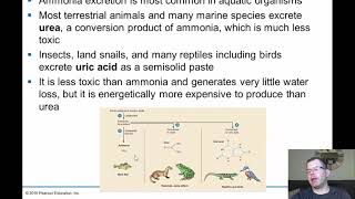 Chapter 32 Excretion System [upl. by Caesar]