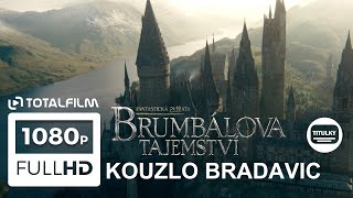 Fantastická zvířata Brumbálova tajemství 2022 Kouzlo Bradavic CZ HD [upl. by Onfroi]