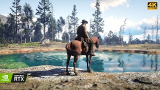 4k Red Dead Redemption 2 ➤ Photorealistic ReShade MOD Showcase  PC Ultra Settings [upl. by Mattah]