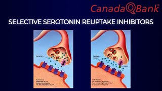 Selective Serotonin Reuptake Inhibitors SSRIs [upl. by Rock496]