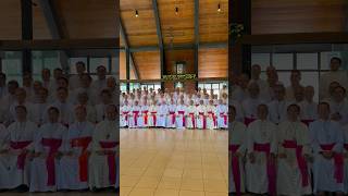 Bishops wear their cassocks for the pictorial shorts subscribe church [upl. by Aikram]