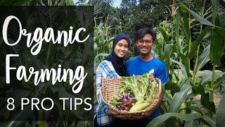 Organic Farming Tour amp Techniques  High Yield  Low Cost with JADAM Kira Organic Farm [upl. by Nnaacissej]