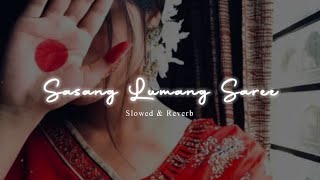 Sasang Lumang Saree  New Santhali Romentic Love LoFi Remix Slowed Reverb Song Santh Beatz [upl. by Mohn97]