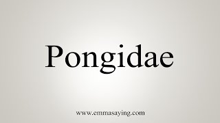 How To Say Pongidae [upl. by Adnac176]