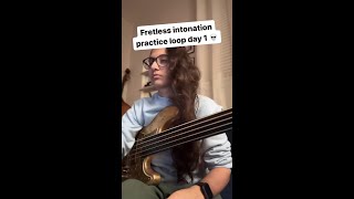 GET STARTED ON FRETLESS BASS 💥🔥 [upl. by Albarran]