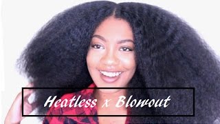 Heatless BLOWOUT Natural Hair [upl. by Flam]