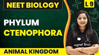 Phylum  Ctenophora  Animal Kingdom  L9  NEET Biology [upl. by Hamachi]