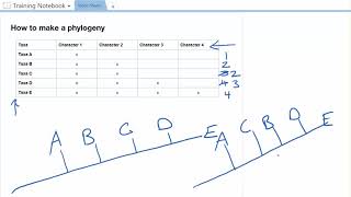 Practice with Phylogenies [upl. by Isahella]