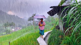 SUPER HEAVY RAIN AND THUNDER IN MY COLD VILLAGE  RAIN SOUNDS SUITABLE FOR INSOMNIA [upl. by Sonnie]