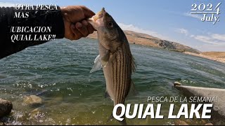 De pesca un rato en quail lake [upl. by Rodie]