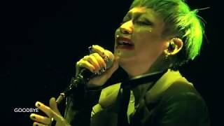 DIR EN GREY  蛍火 eng sub LIVE HD [upl. by Hieronymus]