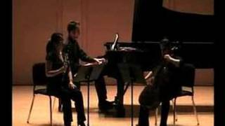 Beethoven Clarinet Trio Op 11 mvt 2 [upl. by Eirrot]