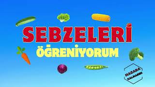 Sebzeleri Öğreniyorum  Im learning vegetables Sebzelerin İsimleri [upl. by Tina78]