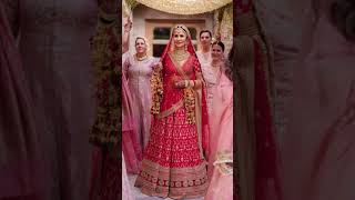 Katrina Kaif amp Vicky kaushal wedding video  Short Video  yt short [upl. by Croner]