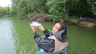 Is Brushpile Fishing REALLY the Secret to Catching More Crappie [upl. by Prud]