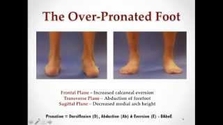 More Effective Calf Stretching Considerations for the OverPronated Foot with Dr Emily Splichal [upl. by Brittani]