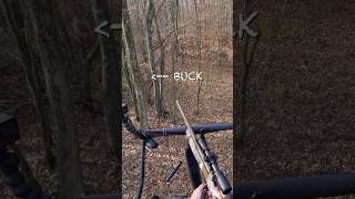 BIG BUCK AT 5 YARDS deer deerhunt [upl. by Eeltrebor]