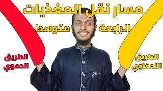 أحدد مسار نقل المغذيات وثنائي الأكسجين في العضوية علوم طبيعية رابعة متوسط  الدرس 7 [upl. by Elleved850]