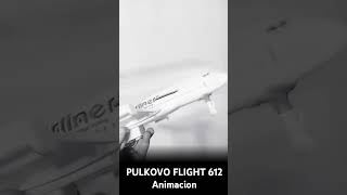 aviation pulkovo flight 612 chocado después voy a aser de japan airlines 123elmundodelaaviacion [upl. by Meehahs]