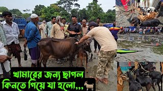 খামারের জন্য ছাগল কিনতে গিয়ে যা হলো🐐 [upl. by Sylvia]