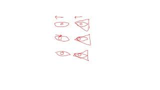 Orthoptics Lecture No 8 Four Prism Dioptre Test [upl. by Ahsinot]