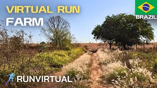 Farm Run in the Brazilian Central West [upl. by Arymahs497]