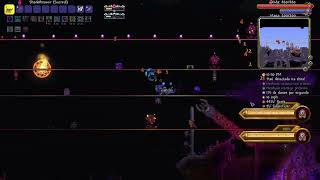 Terraria Calamity Mod  Eater Of Worlds Infernum Mode [upl. by Aivun558]