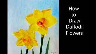 How to Draw Daffodil Flowers Flower drawing17 [upl. by Stefanac198]