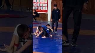 pankration mma sports ufc grappling boxing nabievv [upl. by Rosenthal]