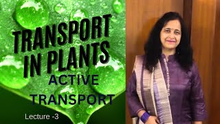 Active Transport  Transport in Plants  Explanation With Example  Biology Ocean [upl. by Haididej]