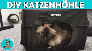 DIY Haus für Katzen  Katzenhöhle selber bauen in 2 Minuten ✅ [upl. by Imotih]