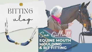 EQUINE MOUTH MOULDING amp BIT FITTING CLINIC with Sue Gilliat  Bombers Bits [upl. by Karla]