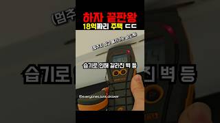 하자 끝판왕 18억짜리 주택 ㅎㄷㄷ [upl. by Chap]