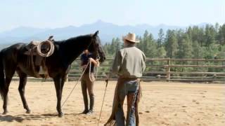 How to Use Spurs on Your Horse with Pat Parelli [upl. by Mead829]