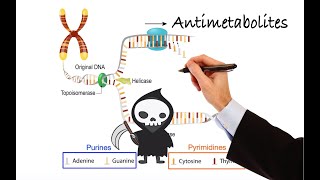 Pharmacology  CANCER DRUGS  ANTIMETABOLITES MADE EASY [upl. by Hploda233]