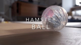 Hamster ball [upl. by Leban860]