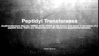 Medical vocabulary What does Peptidyl Transferases mean [upl. by Tomaso]