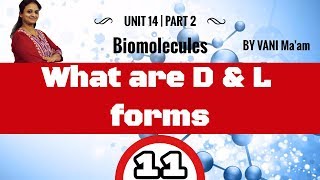 What are D amp L formsGrade 12Part11Biomolecules chemistry cbse tricks [upl. by Carolyn]