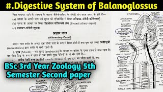 Digestive System of Balanoglossus  BSc 3rd year Zoology 5th semester Second Paper [upl. by Cassandry854]